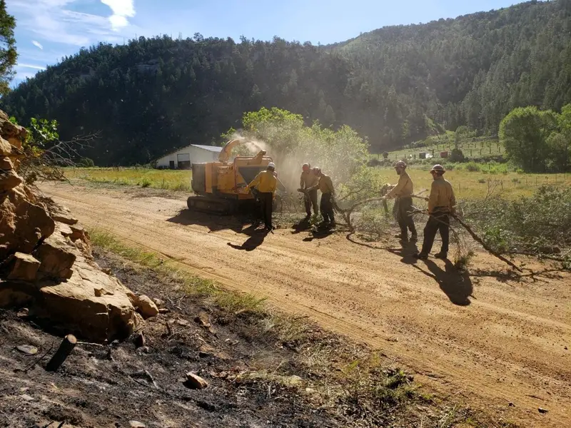 Brush clearing along a dirt road