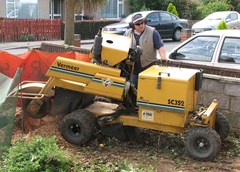 Stump grinder working in a front yard